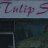 Tulip_Spa